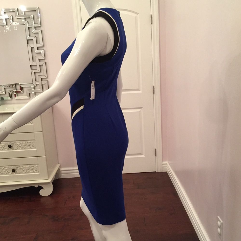 Cache blue elegant dress. - Picture 3 of 8